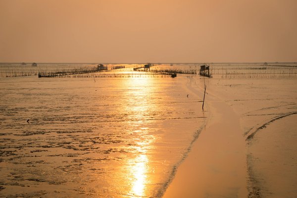 Où participer à un atelier de fabrication de chocolat en Suisse : artisans et techniques ?