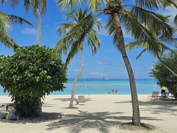 Où suivre une formation en art de la céramique au Portugal?
